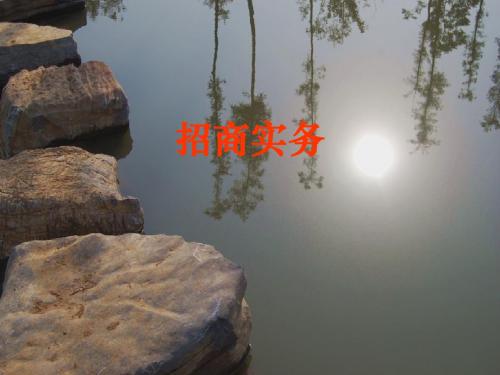 招商实务