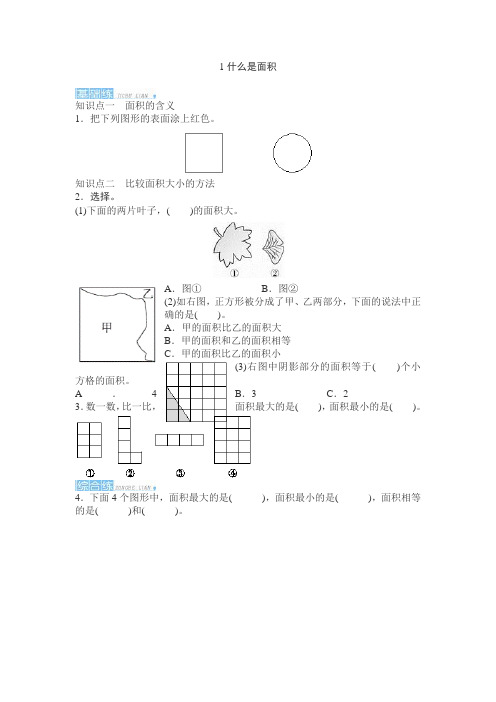 第五单元面积答案