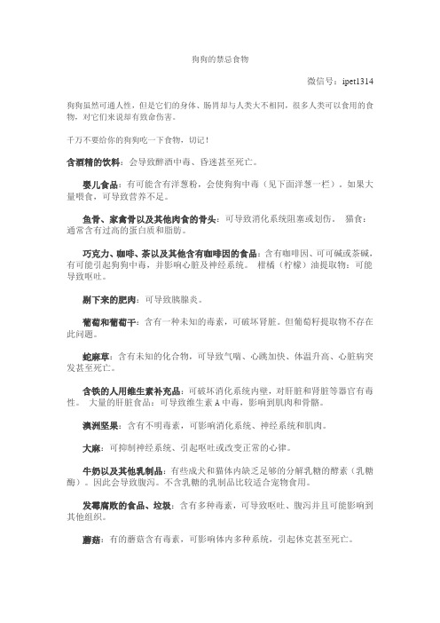 狗狗的禁忌食物
