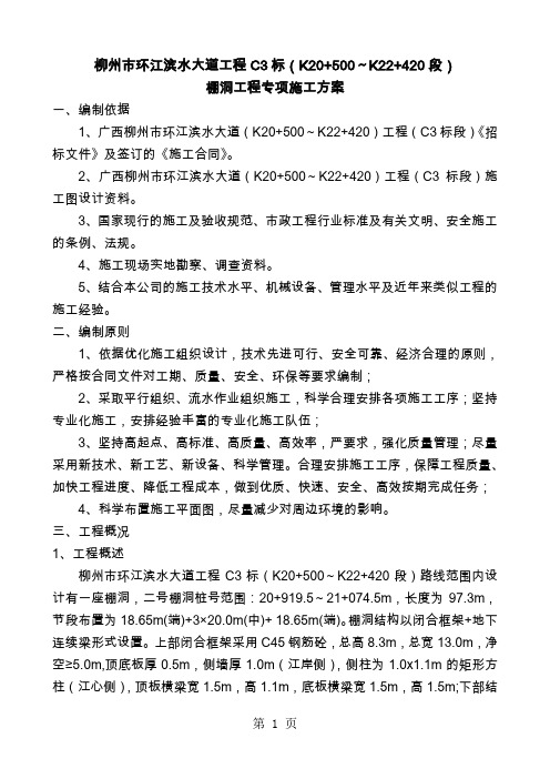 棚洞工程专项施工方案word资料38页