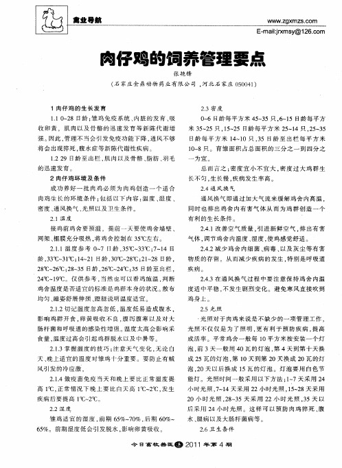 肉仔鸡的饲养管理要点