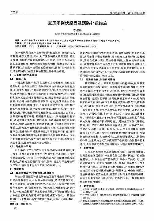 夏玉米倒伏原因及预防补救措施