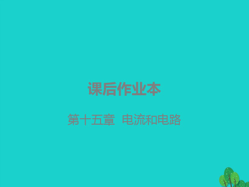 广东省2020年中考物理复习第十五章电流和电路课件
