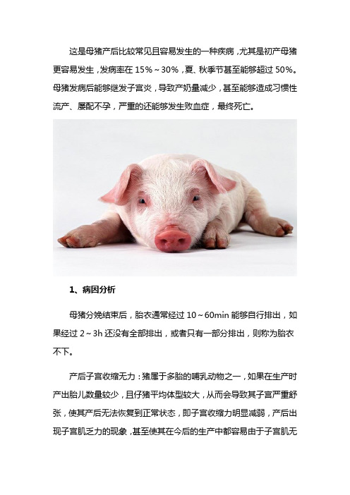 母猪胎衣不下怎么办？