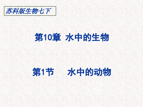 苏科版生物七下第10章水中的生物第1节水中的动物