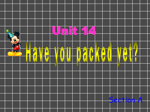 Unit14《haveyoupackedyet_SectionB》课件1(17张PPT)(人教新目标九年级)
