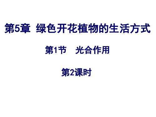 北师大版七年级上册第五章第一节 光合作用   第2课时 课件