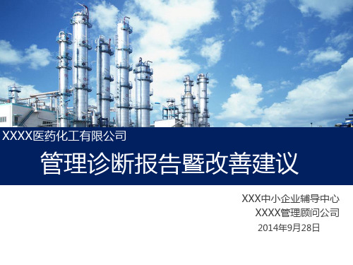 项目诊断报告