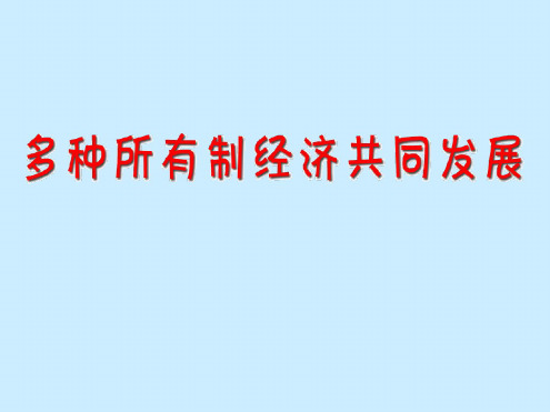 思想品德：第十课《走共同富裕之路》课件(苏教版九年级)