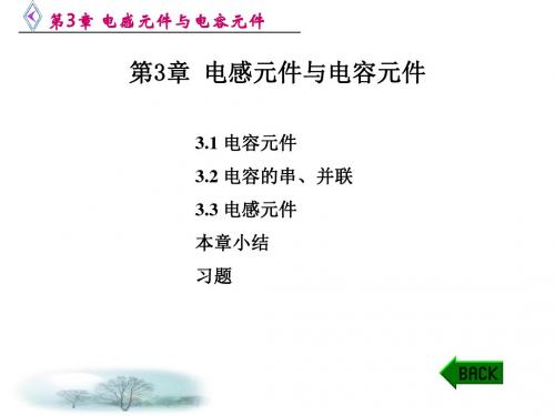 第3章 电感元件与电容元件-PPT课件