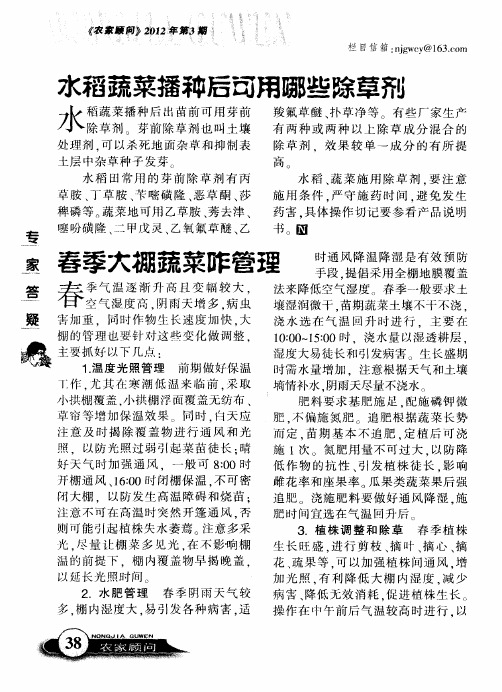 春季大棚蔬菜咋管理