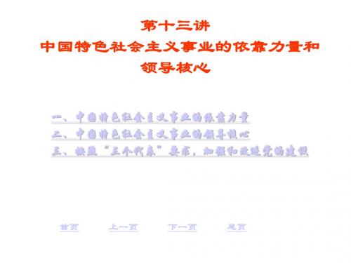 第十三讲中国特色社会主义事业的依靠力量和领导核心