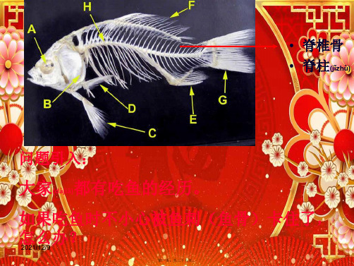 生物上册 第五单元 第一章 各种环境中动物课件上册生物课件