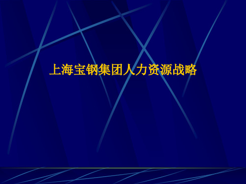 上海宝钢集团人力资源战略(PPT 16页)
