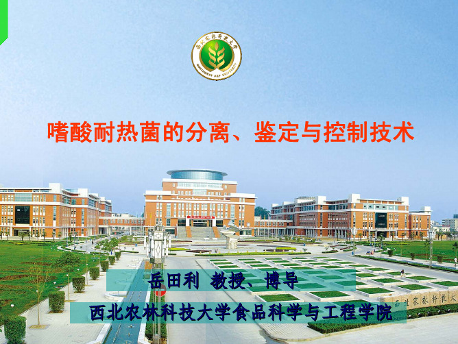 嗜酸脂环酸芽孢杆菌的分离、鉴定与控制