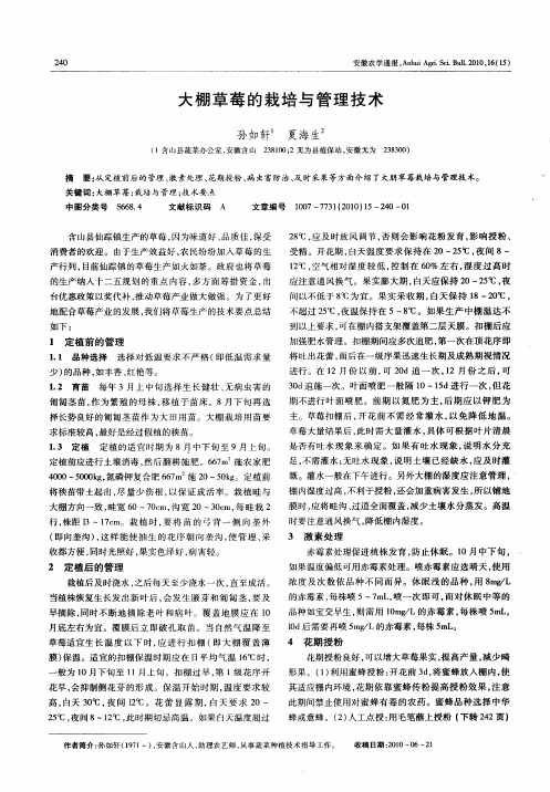 大棚草莓的栽培与管理技术