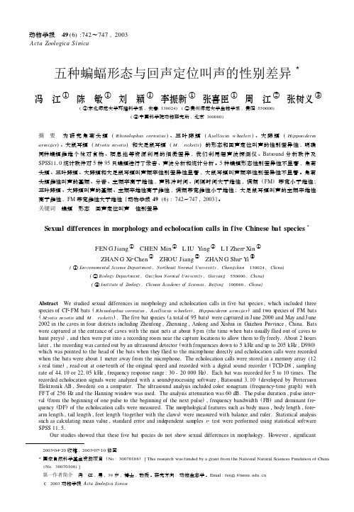 五种蝙蝠形态与回声定位叫声的性别差异CURRENTZOOLOGY