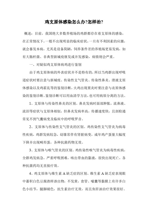 鸡支原体感染怎么办-怎样治-.doc
