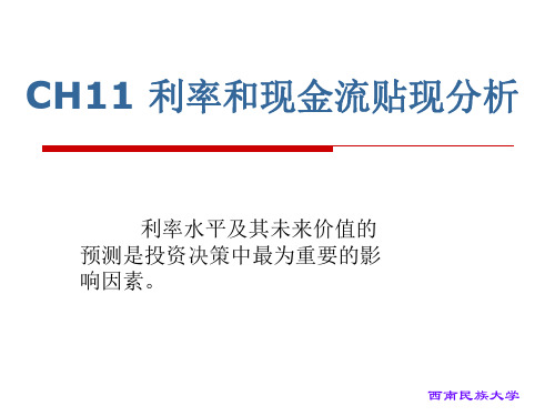 第十一章 利率和现金流贴现分析