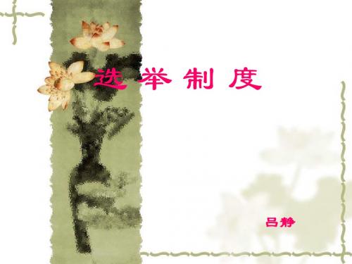 选举制度