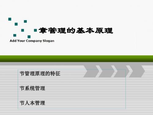管理的基本原理讲义(PPT32张)