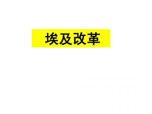 穆罕默德_阿里改革