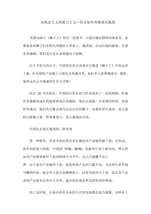 从机会主义到能力主义—民企如何突破成长瓶颈