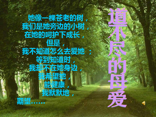 综合性学习献给母亲的歌21页PPT