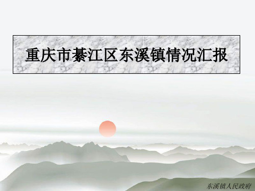 重庆市綦江区东溪镇情况汇报