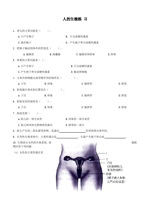 最新人教版七年级生物下册《人的生殖》练习题(附答案)