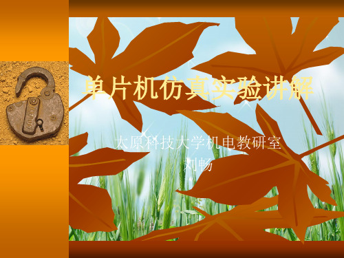 单片机上机试验讲解PPT