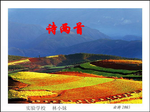 九级语文下册《诗两首 乡秋愁 我爱这土地》优秀课件(38页) 人教新课标(通用)