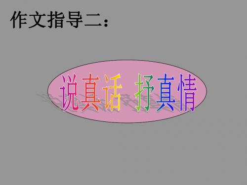 说真话抒真情