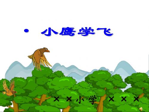 苏教版二年级语文上册《小鹰学飞》课件