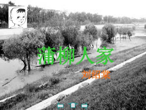 《蒲柳人家》ppt课件