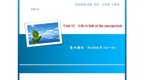 九年级下册人教英语Unit 12 第4课时 Section B (1a～1e)
