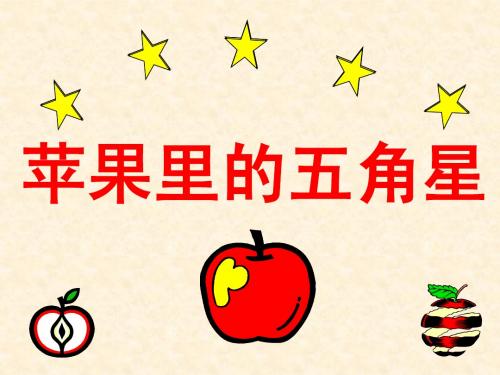 5.《苹果里的五角星》