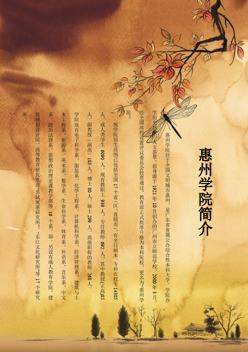 惠州学院简介