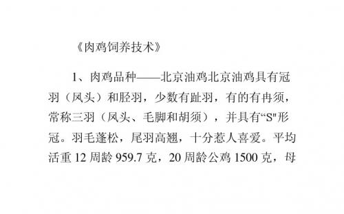 精品肉鸡品种介绍