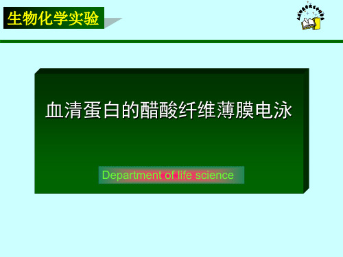 实验四  醋酸纤维薄膜电泳2008