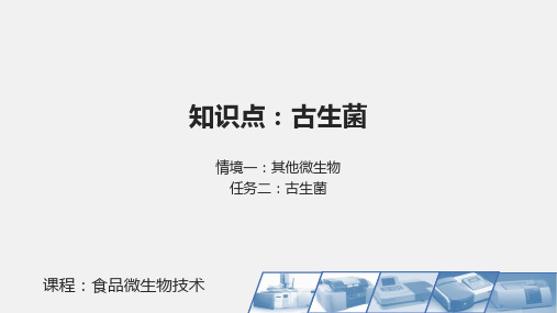 04-古生菌