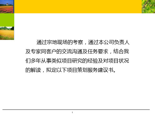 成都崇州花果山AAAA级国际旅游度假区调改深化落地策划建议书45p共46页文档