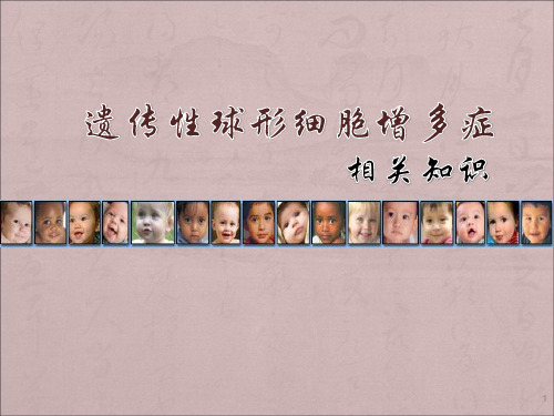 遗传性球形红细胞增多症相关知识PPT课件