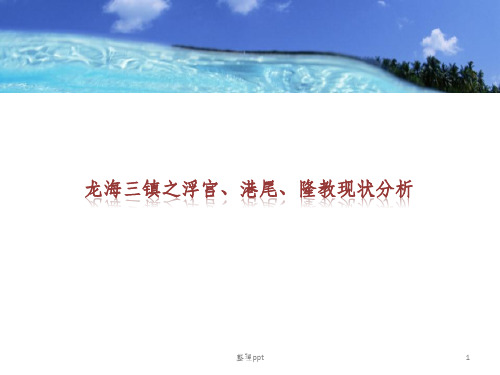 龙海现状分析