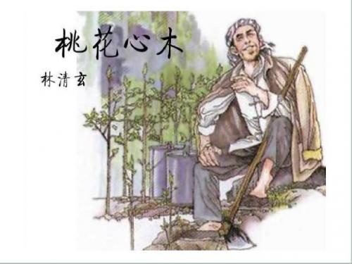 2019年精选--人教版六年级语文下册3《桃花心木》ppt课件