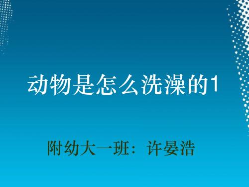 动物是如何洗澡的
