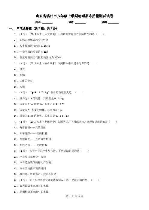 山东省滨州市八年级上学期物理期末质量测试试卷