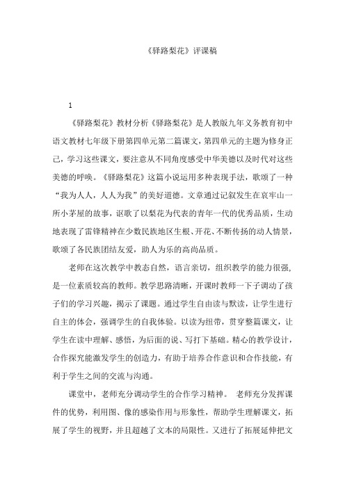 驿路梨花-观评课报告