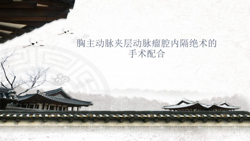 胸主动脉夹层动脉瘤腔内隔绝术的手术配合ppt课件