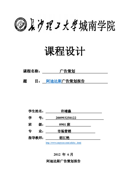 阿迪达斯广告策划报告